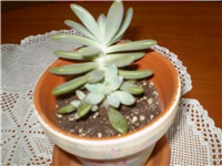 dd591478-Picture 731.jpg